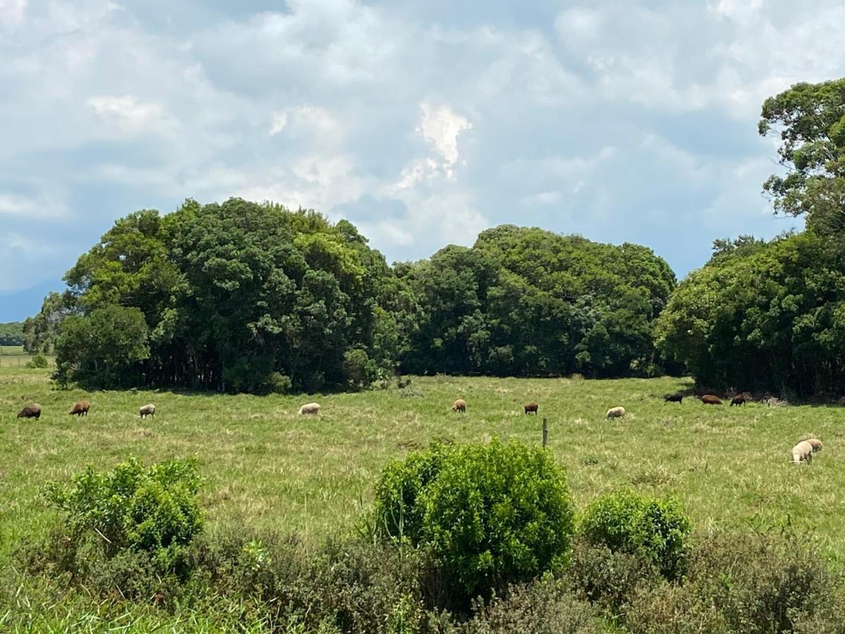 Haras Trevo De Ferro, Praia, Piscina E Campo Torres Kültér fotó